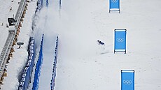 �védský freestylový ly�a� Elis Lundholm v kvalifika�ní jízd� olympijského...