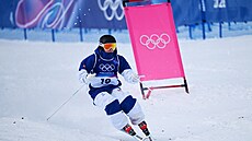 Freestylový ly�a� Elis Lundholm ve druhém kole kvalifikace jízdy v boulích....