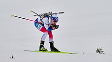 Tereza Voborníková b�hem sprintu na ZOH 2026.