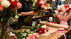 ilustra�ní snímek