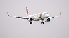 Ilustra�ní foto - Letadlo spole�nosti Air Portugal