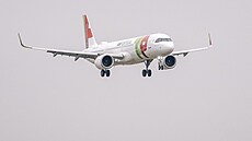 Ilustra�ní foto - Letadlo spole�nosti Air Portugal