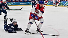Tomá� Hertl se natahuje po puku v utkání proti Francii.