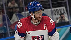 David Pastr�ák reaguje v utkání proti Francii.