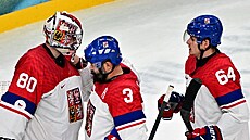 Dan Vlada� p�ijímá gratulace po výh�e proti Francii.