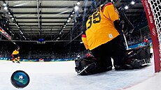 N�mecká branká�ka Sandra Abstreiterová inkasuje gól ve �tvrtfinále proti Kanad�.