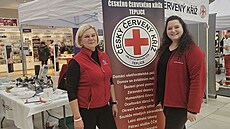 Pomáháme srdcem, odkaz Alice Masarykové �ije