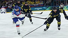 Libor Hudá�ek st�ílí na �védskou branku.