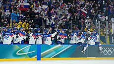 Sloven�tí hokejisté ská�ou na led.