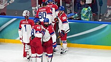 �e�tí hokejisté odjí�dí z ledu, Radko Gudas objímá Tomá�e Hertla.