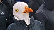 Fanou�ek Brightonu s ob�í maskou racka na tribun� Anfieldu b�hem zápasu FA Cupu...