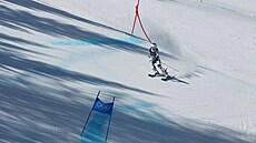 �eská reprezentantka Alena Laba�tová sjí�dí tra� b�hem závodu �en v ob�ím...