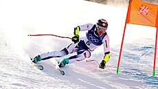 Jan Zabyst�an v akci v super-G (11. února 2026)