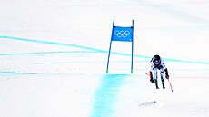 Super-G byl v podání Barbory Novákové (12. února 2026)