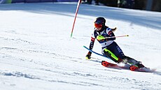 Ameri�anka Mikaela Shiffrinová v akci b�hem druhého kola slalomu �en. (18....