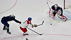 Roman �ervenka dává �estý gól v utkání proti Francii. (13. února 2026)