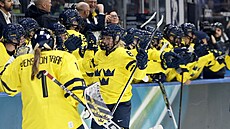 �védské hrá�ky slaví vít�zství v utkání s �eskem. (13. února 2026)