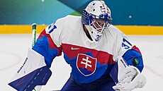 Slovenský branká� Samuel Hlavaj p�i zákroku proti finské st�ele. (11. února...