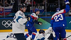 Slovenský úto�ník Dalibor Dvorský slaví druhý gól v utkání s Finskem. (11....