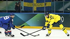 �védský obránce Erik Karlsson a italský reprezentant Tommaso de Luca. (11....