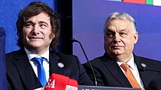 Argentinský prezident Javier Milei a ma�arský premiér Viktor Orbán na Rad� míru...