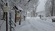 Sníh zasypal �umavu. Snímek je z okolí P�ední Zvonkové u rakouských hranic....