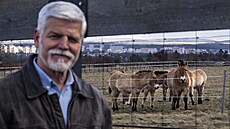 Prezident Petr Pavel s man�elkou Evou b�hem své náv�t�vy Prahy zavítali do...