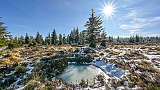 �pi�ky smrk� se b�lají jinovatkou a zamrzlé kalu�e se ve v�esovi�tích lesknou...