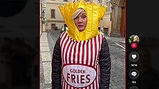 Nyn�j�í ministryn� Alena Schillerová p�ekvapila internet kostýmem hranolky v...