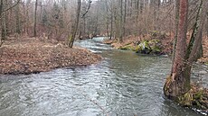 Tok �eky nabízí romantická zákoutí. Bez vody z p�ehrady je ale Doubrava pro...