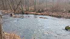 Tok �eky nabízí romantická zákoutí. Bez vody z p�ehrady je ale Doubrava pro...