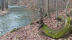 Tok �eky nabízí romantická zákoutí. Bez vody z p�ehrady je ale Doubrava pro...