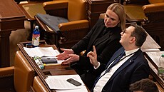 Sch�ze Poslanecké sn�movny. Na snímku poslankyn� a bývalá ministryn� obrany...