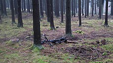 Cyklista na Bud�jovicku zem�el po nárazu do stromu.