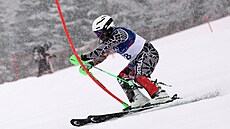 Shannon Abeda ve slalomu na olympijských hrách.