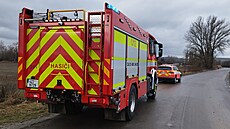 Hasi�i sbírají labut�, které uhynuly na pta�í ch�ipku u �t�rkovi�t� poblí�...