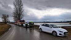 Hasi�i sbírají labut�, které uhynuly na pta�í ch�ipku u �t�rkovi�t� poblí�...