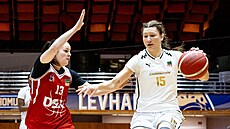Michaela Krejzová z Levhartic Chomutov u mí�e v zápase s DSK Basketball...