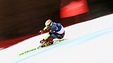 Raku�an Stefan Brennsteiner ve druhém kole ob�ího slalomu.