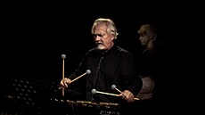 Vibrafonista Radek Krampl