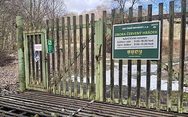Lesníci zpřístupní lidem oboru u Jirkova. Současný stav je neudržitelný, říkají