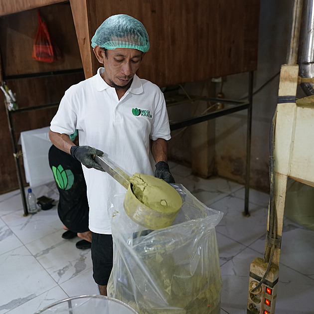 Zvažujeme posun věku pro nákup kratomu z 18 na 21, řekl Babiš u kulatého stolu