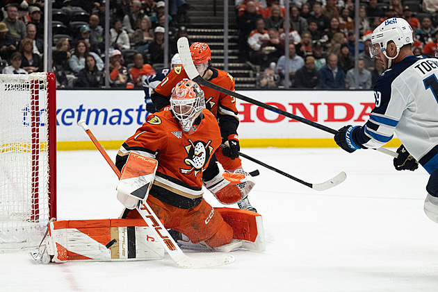 Dostál s Vejmelkou v NHL vychytali výhry, Hertl se trefil za Vegas