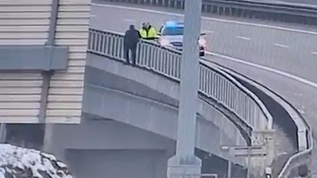 VIDEO: Sebevrah chtěl na D1 skočit z mostu, už přelezl zábradlí