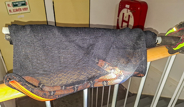 Pod schody paneláku se plazila exotická korálovka, odchytili ji hasiči