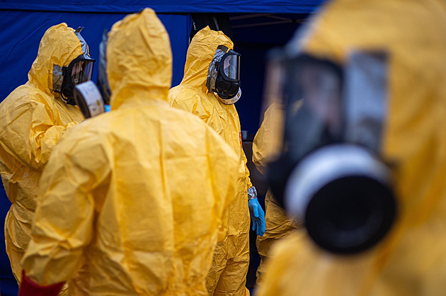 Začala likvidace 236 tisíc nosnic, ptačí chřipka chov zasáhla podruhé za pět let