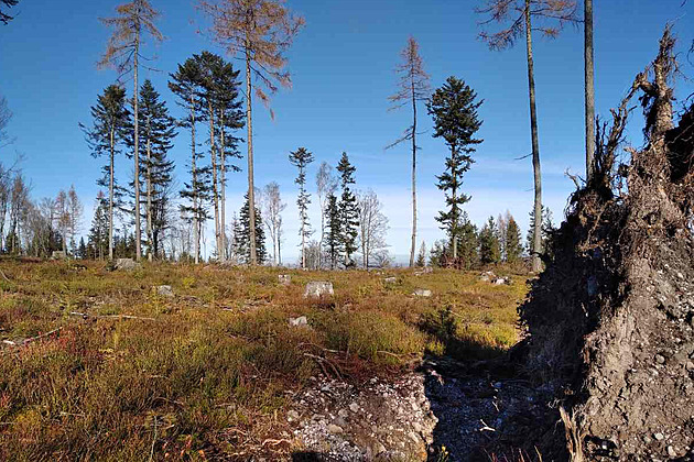 Nenápadná Kočka v Brdech skrývá staré fosilie, nově je přírodní památkou
