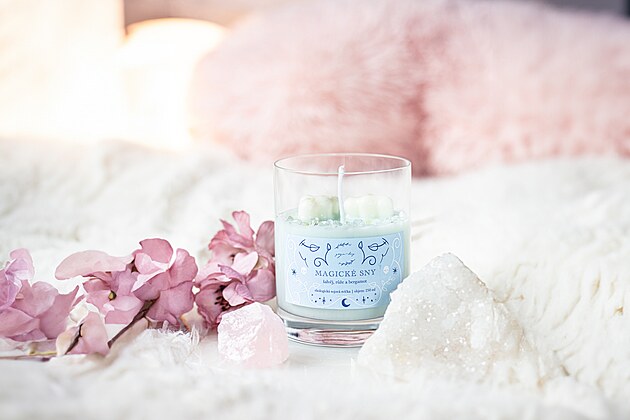 Sny nejsou n�hoda. To, co p�es den potla�ujeme, se v noci vrac�, ��k� Petra...