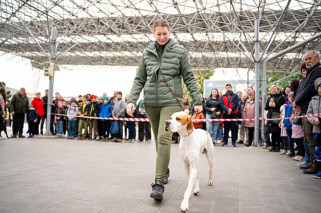 V�stava Myslivost a p��roda