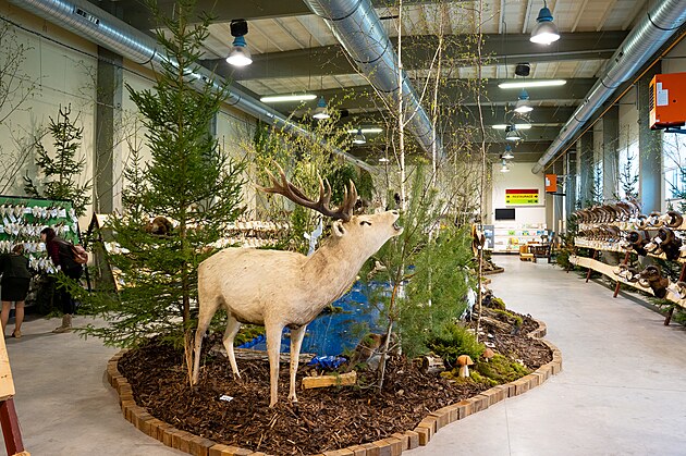 V�stava Myslivost a p��roda